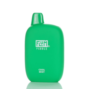 Cool Mint - Flum Pebble 6000 Puffs Rechargeable Disposable Vape - 14ML